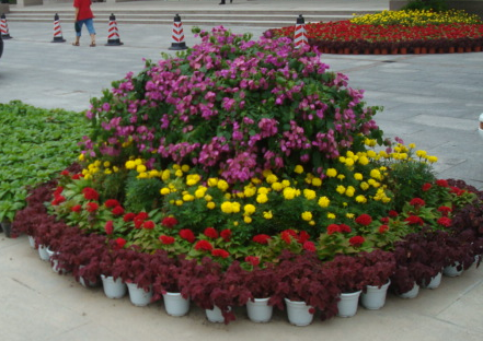 綠植租擺